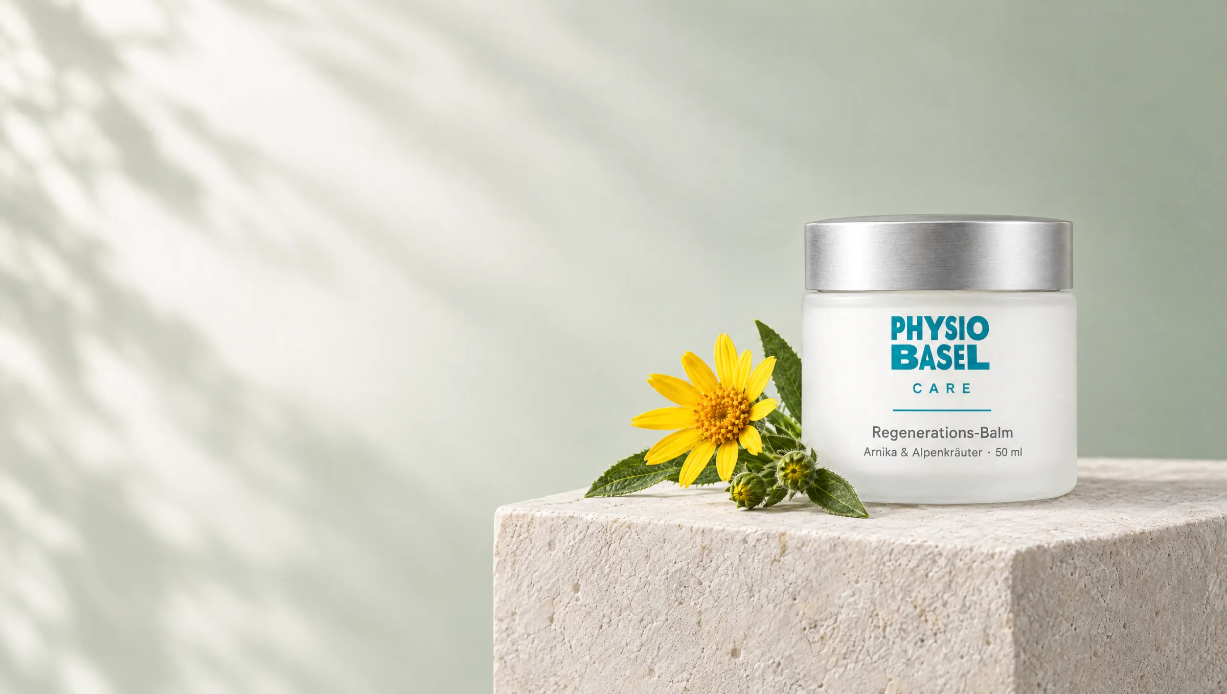 Regenerations-Balm von Physio Basel Care auf einem Kalksteinblock, daneben eine Arnikablüte